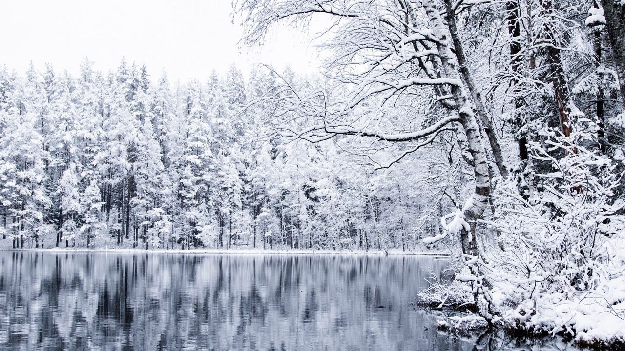 Wallpaper lake, trees, snow, winter, landscape