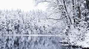Preview wallpaper lake, trees, snow, winter, landscape