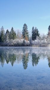 Preview wallpaper lake, trees, snow, reflection, landscape, winter