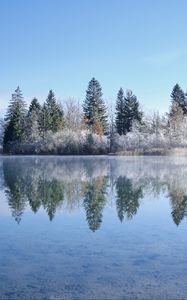 Preview wallpaper lake, trees, snow, reflection, landscape, winter