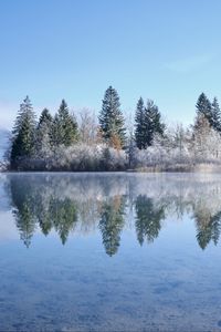 Preview wallpaper lake, trees, snow, reflection, landscape, winter