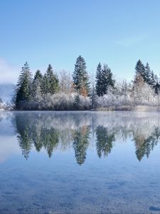 Preview wallpaper lake, trees, snow, reflection, landscape, winter