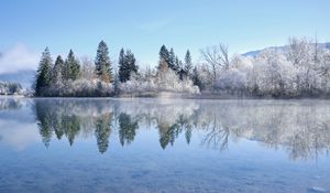 Preview wallpaper lake, trees, snow, reflection, landscape, winter