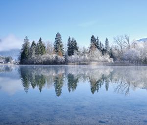Preview wallpaper lake, trees, snow, reflection, landscape, winter