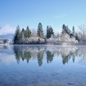 Preview wallpaper lake, trees, snow, reflection, landscape, winter