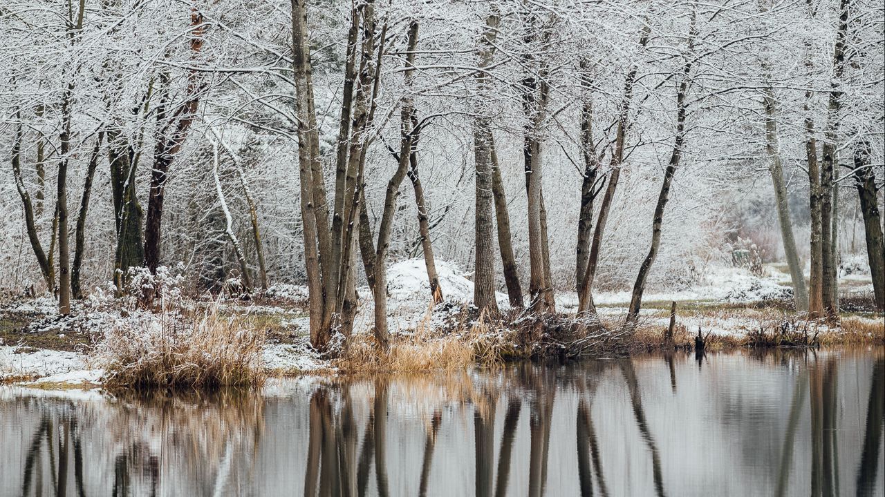 Wallpaper lake, trees, snow, water, reflection, winter