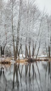 Preview wallpaper lake, trees, snow, water, reflection, winter