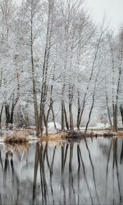 Preview wallpaper lake, trees, snow, water, reflection, winter