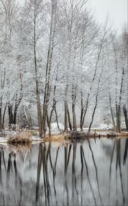 Preview wallpaper lake, trees, snow, water, reflection, winter