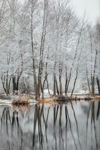 Preview wallpaper lake, trees, snow, water, reflection, winter