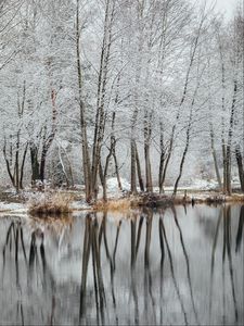 Preview wallpaper lake, trees, snow, water, reflection, winter