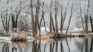 Preview wallpaper lake, trees, snow, water, reflection, winter