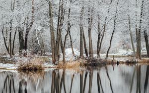 Preview wallpaper lake, trees, snow, water, reflection, winter