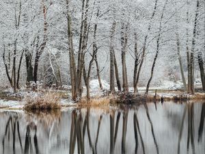 Preview wallpaper lake, trees, snow, water, reflection, winter