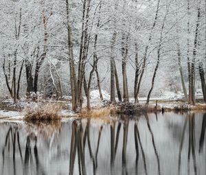 Preview wallpaper lake, trees, snow, water, reflection, winter