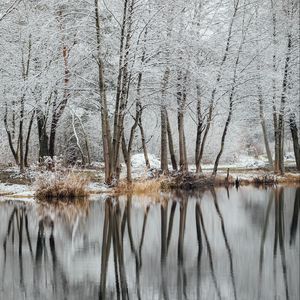 Preview wallpaper lake, trees, snow, water, reflection, winter