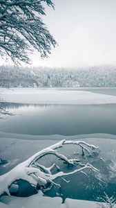 Preview wallpaper lake, trees, snow, winter, nature, white