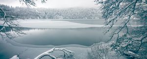 Preview wallpaper lake, trees, snow, winter, nature, white