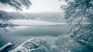 Preview wallpaper lake, trees, snow, winter, nature, white