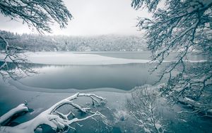 Preview wallpaper lake, trees, snow, winter, nature, white