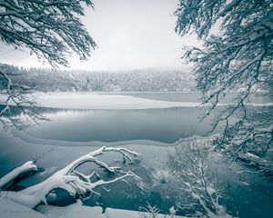 Preview wallpaper lake, trees, snow, winter, nature, white