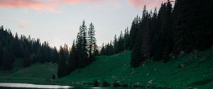 Preview wallpaper lake, trees, spruce, reflection, clouds, sky