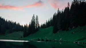 Preview wallpaper lake, trees, spruce, reflection, clouds, sky