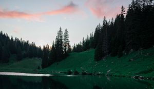 Preview wallpaper lake, trees, spruce, reflection, clouds, sky