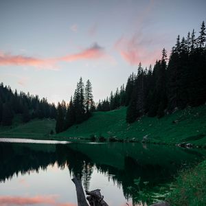 Preview wallpaper lake, trees, spruce, reflection, clouds, sky