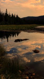 Preview wallpaper lake, trees, spruce, reflection, sky, clouds