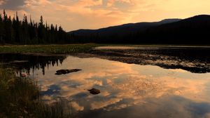 Preview wallpaper lake, trees, spruce, reflection, sky, clouds