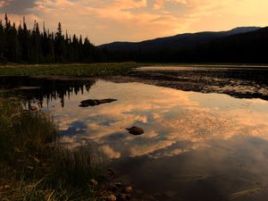 Preview wallpaper lake, trees, spruce, reflection, sky, clouds
