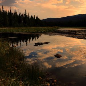 Preview wallpaper lake, trees, spruce, reflection, sky, clouds