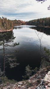 Preview wallpaper lake, trees, spruce, forest, sky