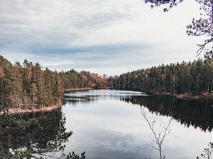 Preview wallpaper lake, trees, spruce, forest, sky