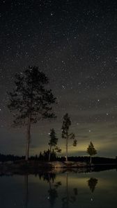 Preview wallpaper lake, trees, starry sky, night, dark