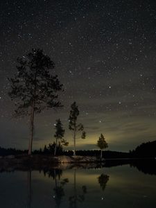 Preview wallpaper lake, trees, starry sky, night, dark