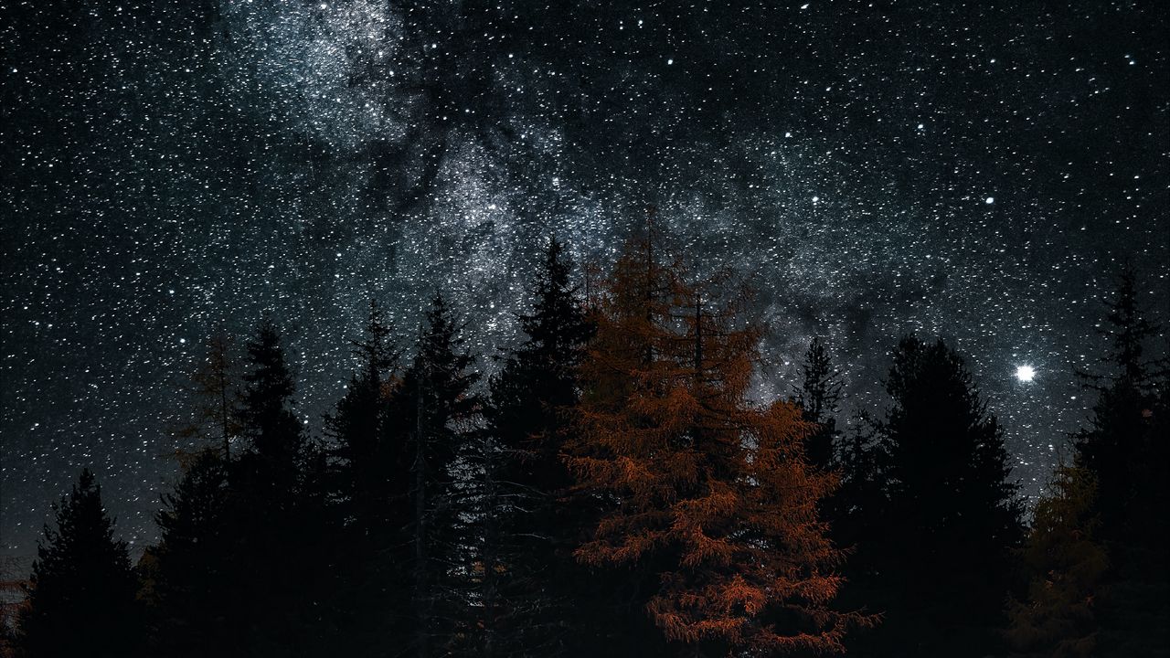 Wallpaper lake, trees, stars, reflection, night, dark