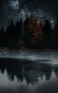 Preview wallpaper lake, trees, stars, reflection, night, dark
