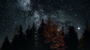 Preview wallpaper lake, trees, stars, reflection, night, dark