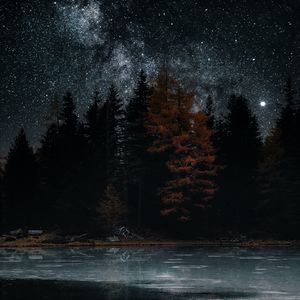 Preview wallpaper lake, trees, stars, reflection, night, dark