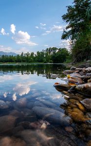 Preview wallpaper lake, trees, stones, bottom, transparent, landscape