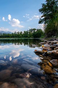 Preview wallpaper lake, trees, stones, bottom, transparent, landscape