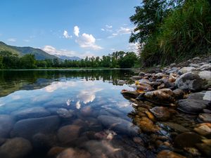 Preview wallpaper lake, trees, stones, bottom, transparent, landscape