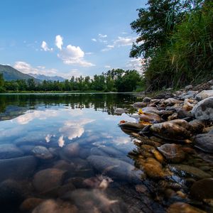 Preview wallpaper lake, trees, stones, bottom, transparent, landscape