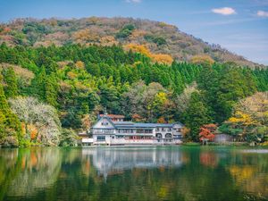 Preview wallpaper lake, trees, structure, reflection, hdr