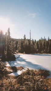 Preview wallpaper lake, trees, sunlight, sky
