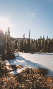 Preview wallpaper lake, trees, sunlight, sky