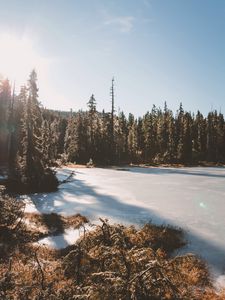 Preview wallpaper lake, trees, sunlight, sky