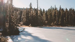 Preview wallpaper lake, trees, sunlight, sky